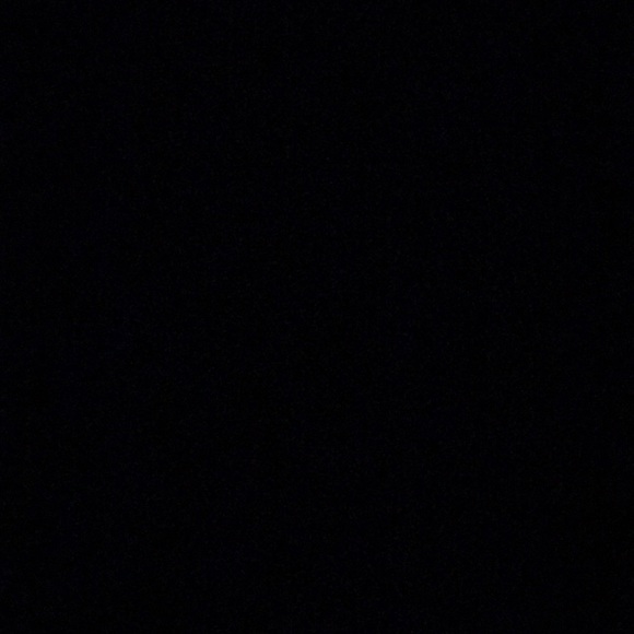 Meet your Posher, Paisley - Picture 1 of 1